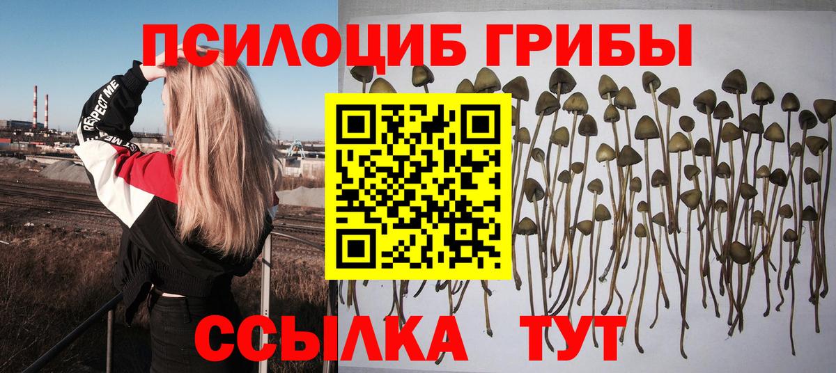 МЕФ   ГАШ  НБОМе  COCAIN  Мефедрон  Марихуана  Кудрово  Вход с VPN 