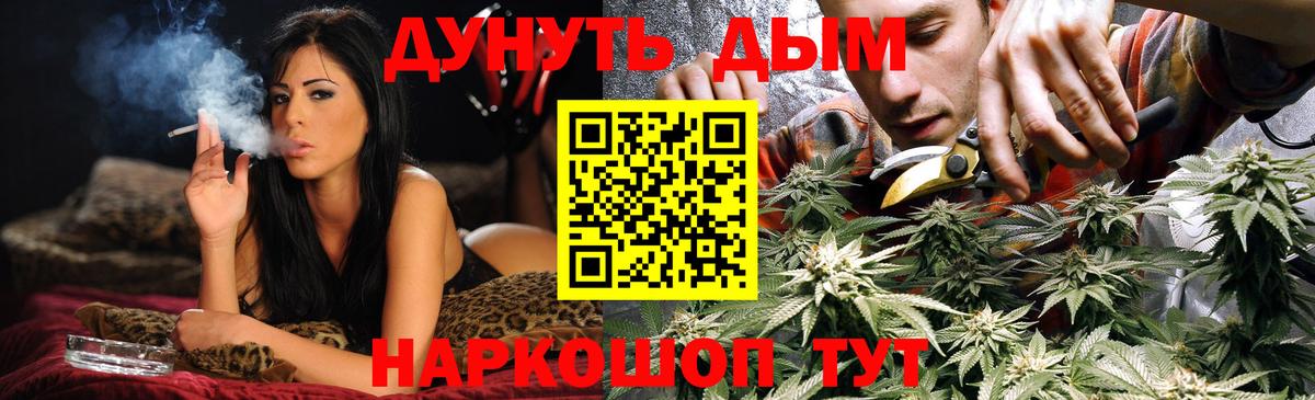 Шишки марихуана план  Бошки Шишки VHQ  Кудрово  Вход с VPN  Марихуана Amnesia  Канабис Amnesia 